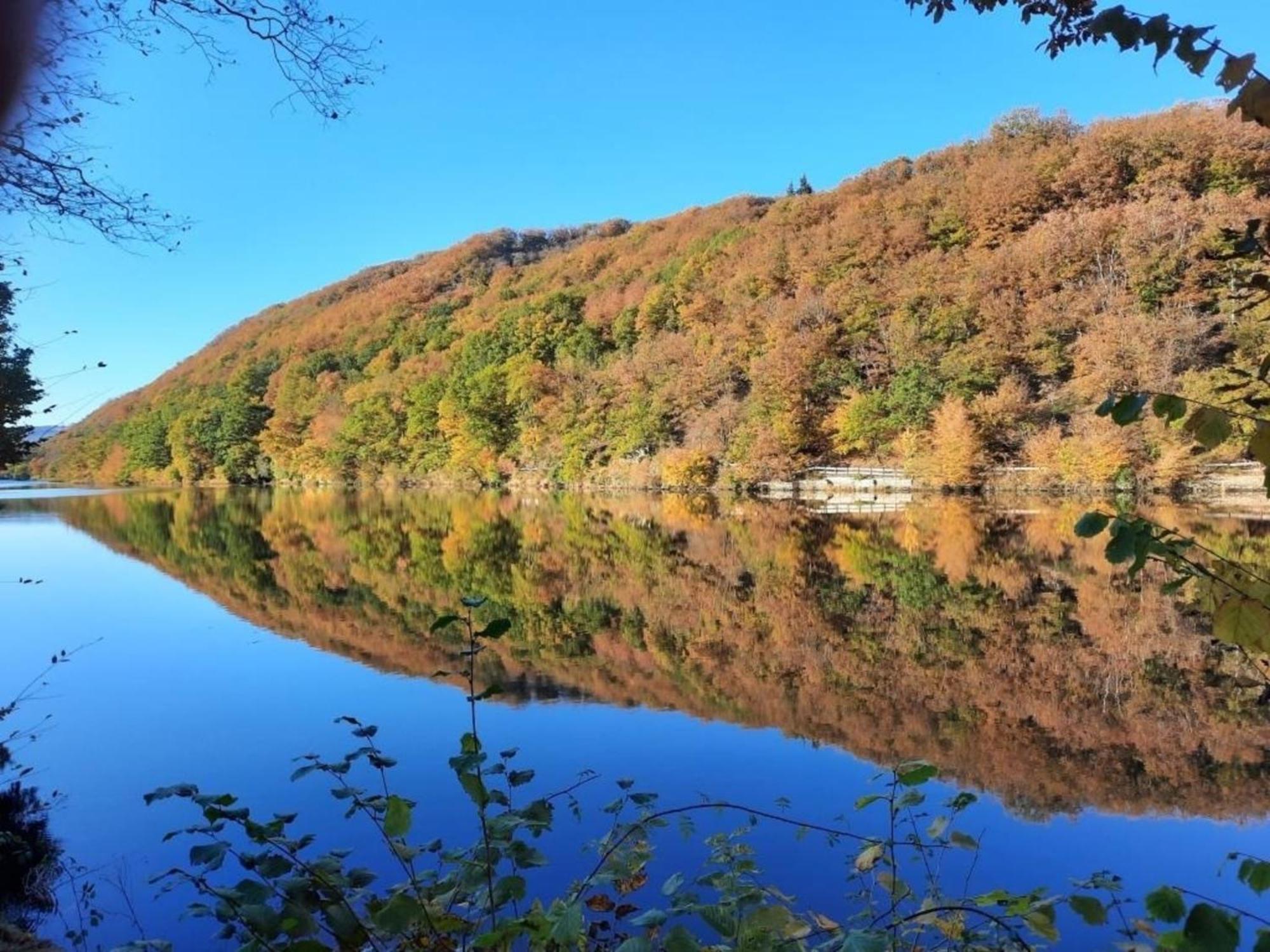 Ferienhaus &#039Freund Am See&#039 3 海姆巴赫 外观 照片